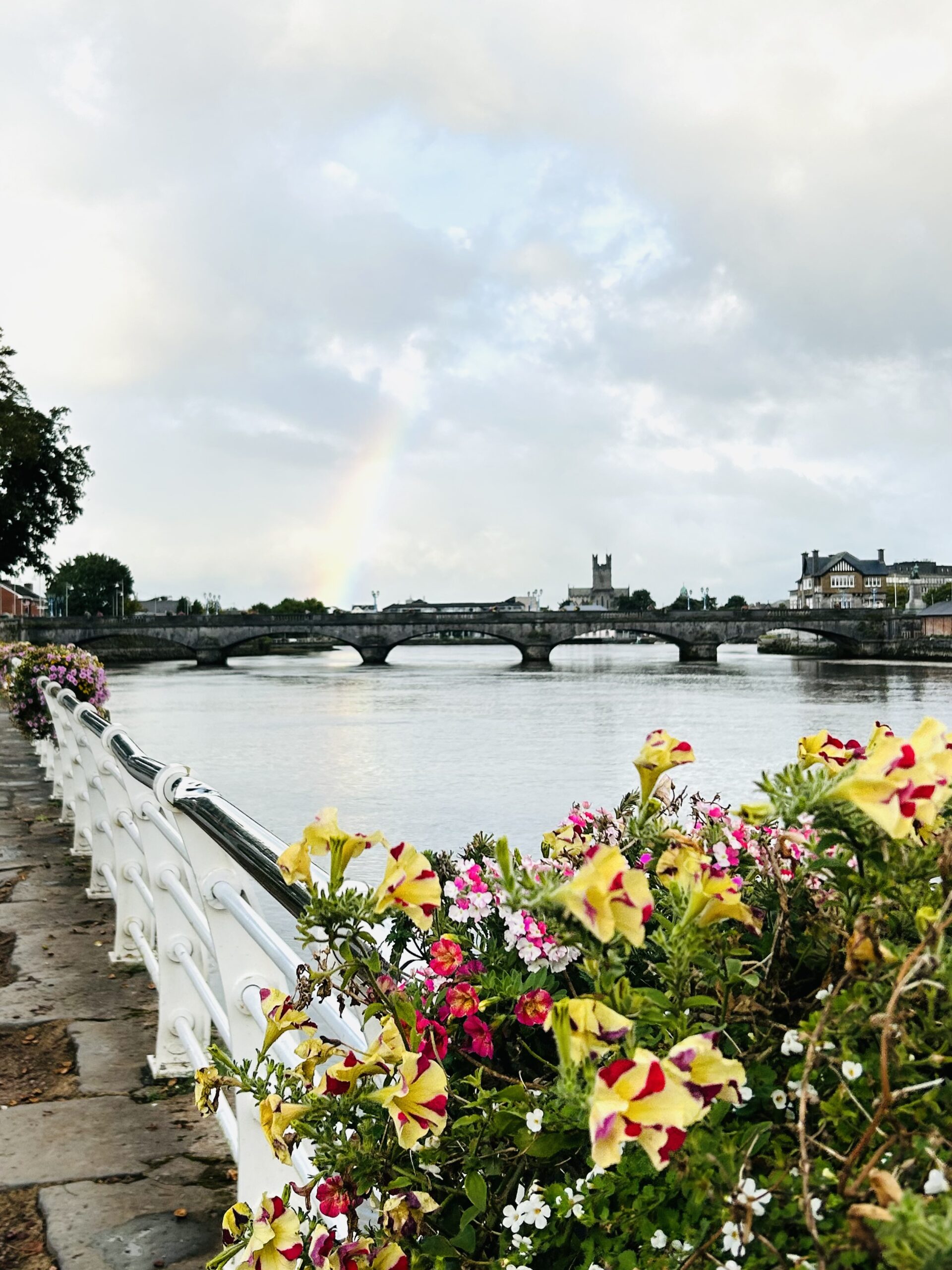 Limerick, Irlanda